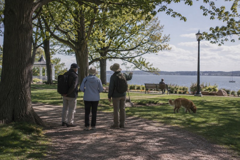 Local Islander Guide Walk