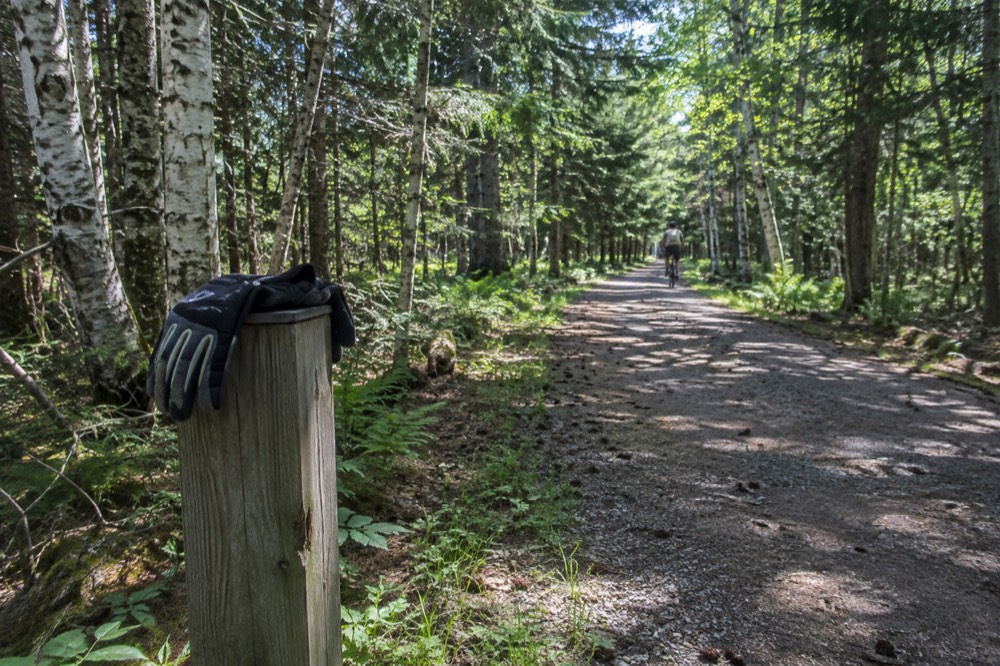An electric bicycle parked beside a trail sign in a shady wooded section of path