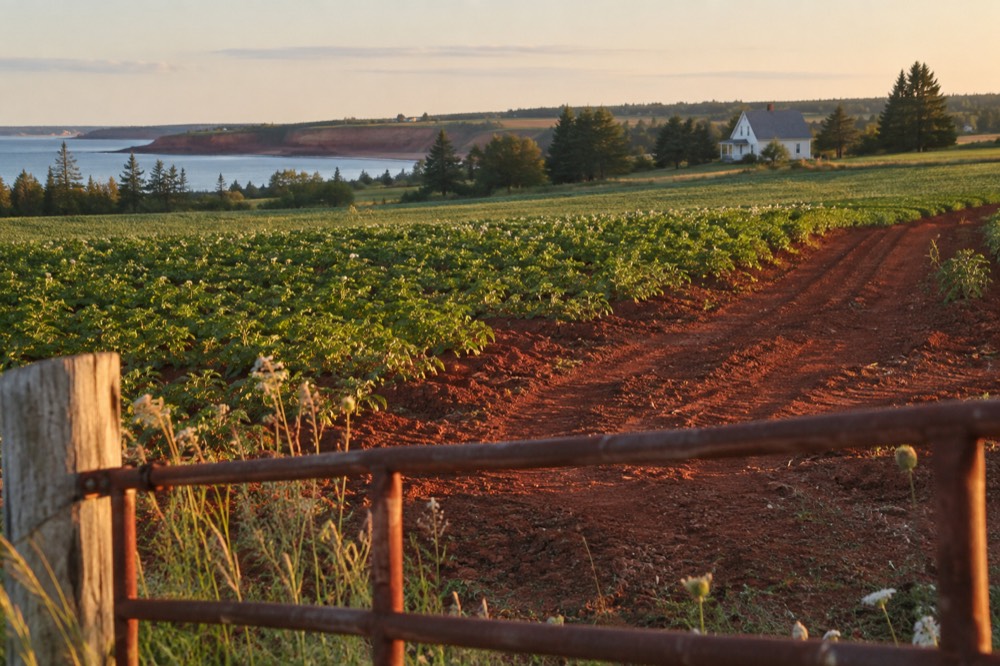 Farm fields and a gabled farmhouse under wide open sky in late afternoon light