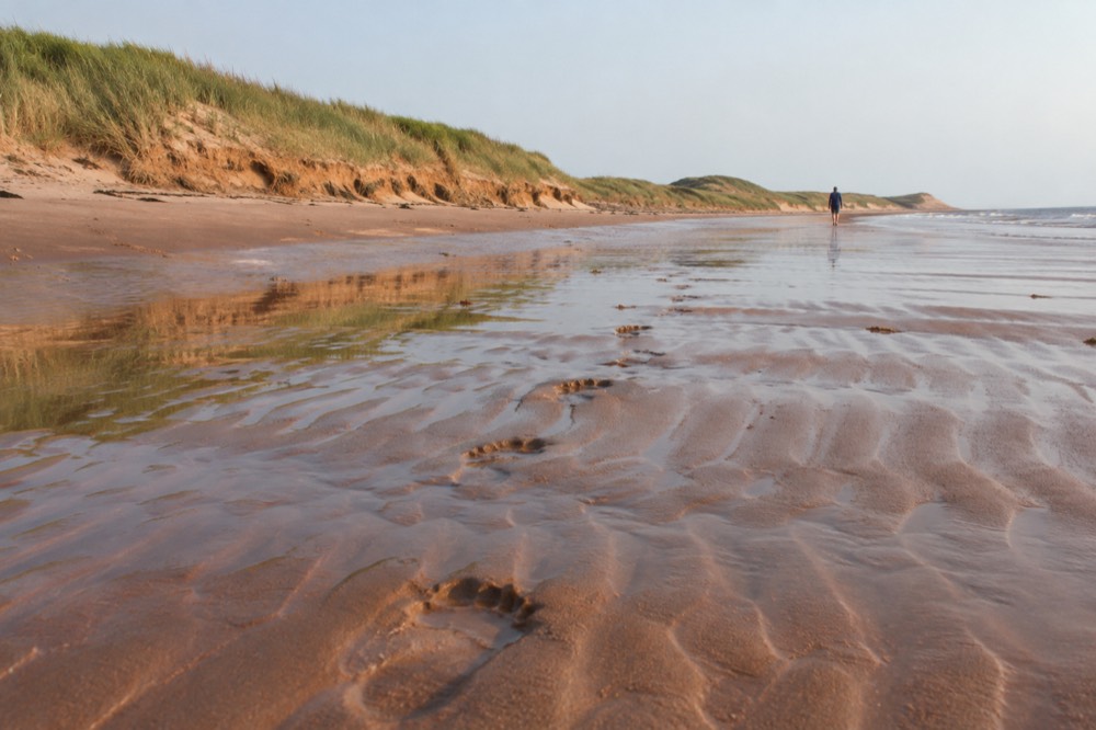 Quiet red sand beach with dune grass at low tide