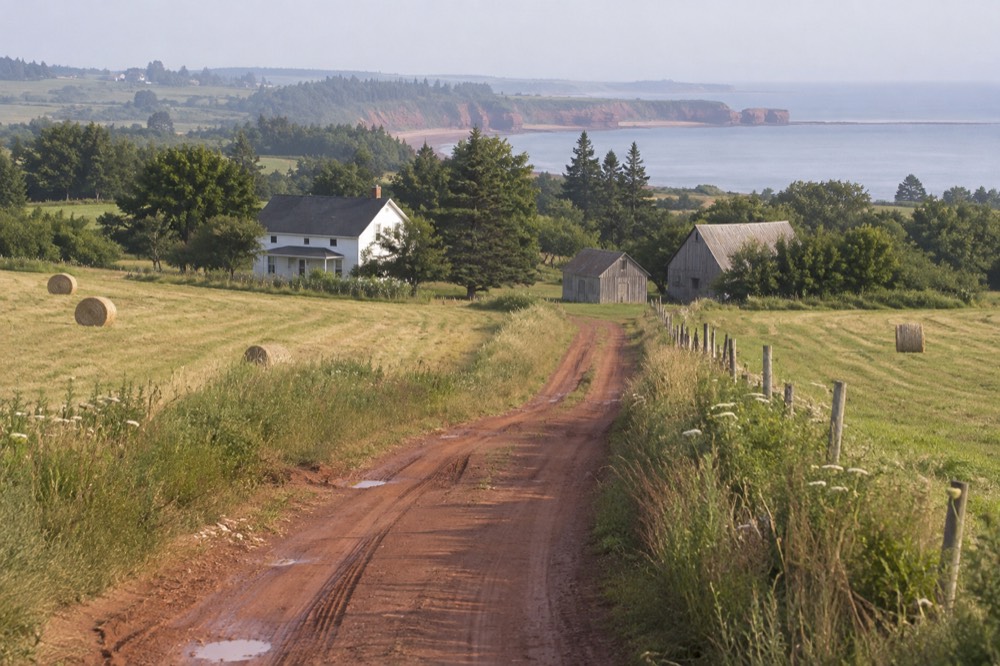 Red dirt lane running between green fields toward a wooded farm property
