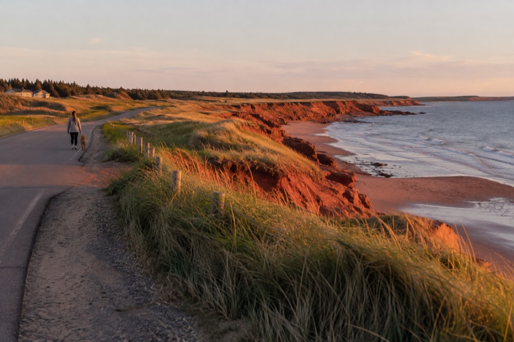 Coastal road along red sandstone cliffs with the sea beyond