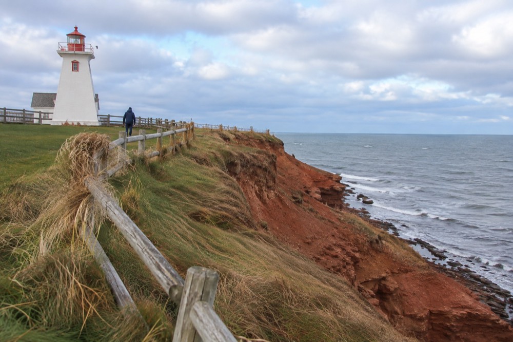 A red sandstone cliff along the eastern Prince Edward Island shoreline