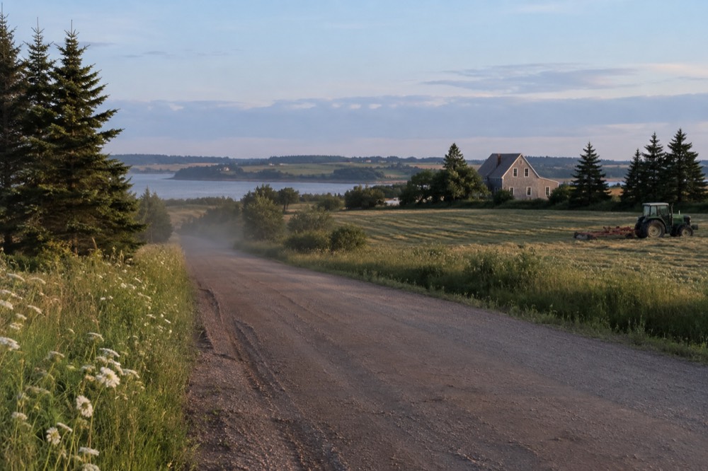 A quiet Island country road lined with green fields