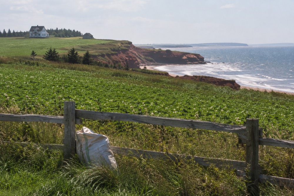 Red sand cliffs above a quiet beach with rolling green farmland behind