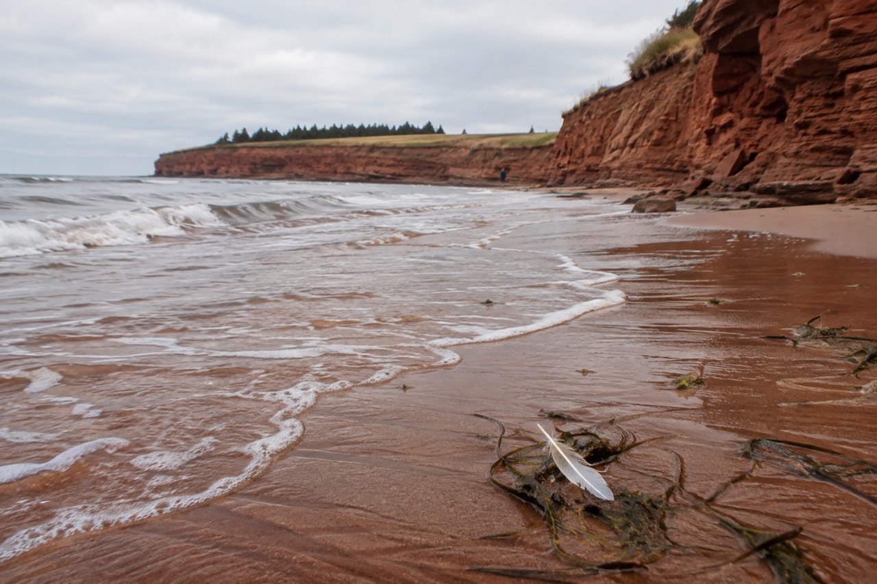 Red sandstone cliffs and a quiet beach on the Prince Edward Island coast