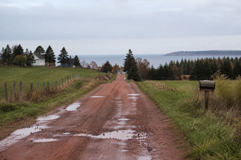 A country road through green farmland on Prince Edward Island leading toward the north shore