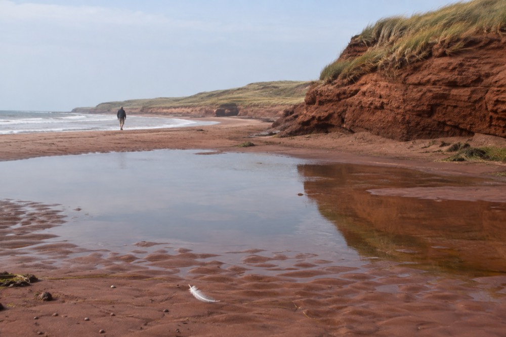 Red sandstone cliffs and dunes along the Prince Edward Island north shore