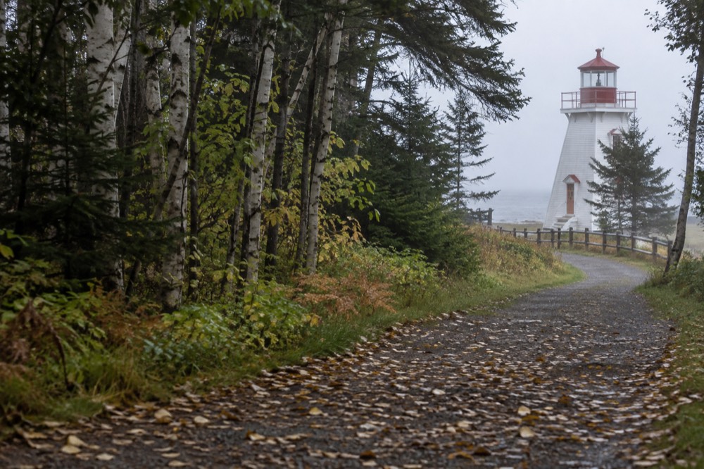 A quiet stone dust trail curving through wooded Prince Edward Island countryside