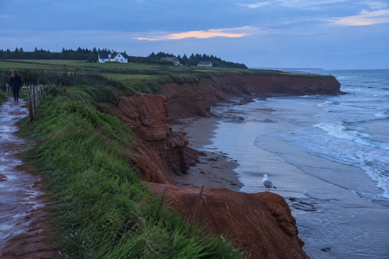 Red sandstone cliffs and rolling green farmland along the Prince Edward Island coast