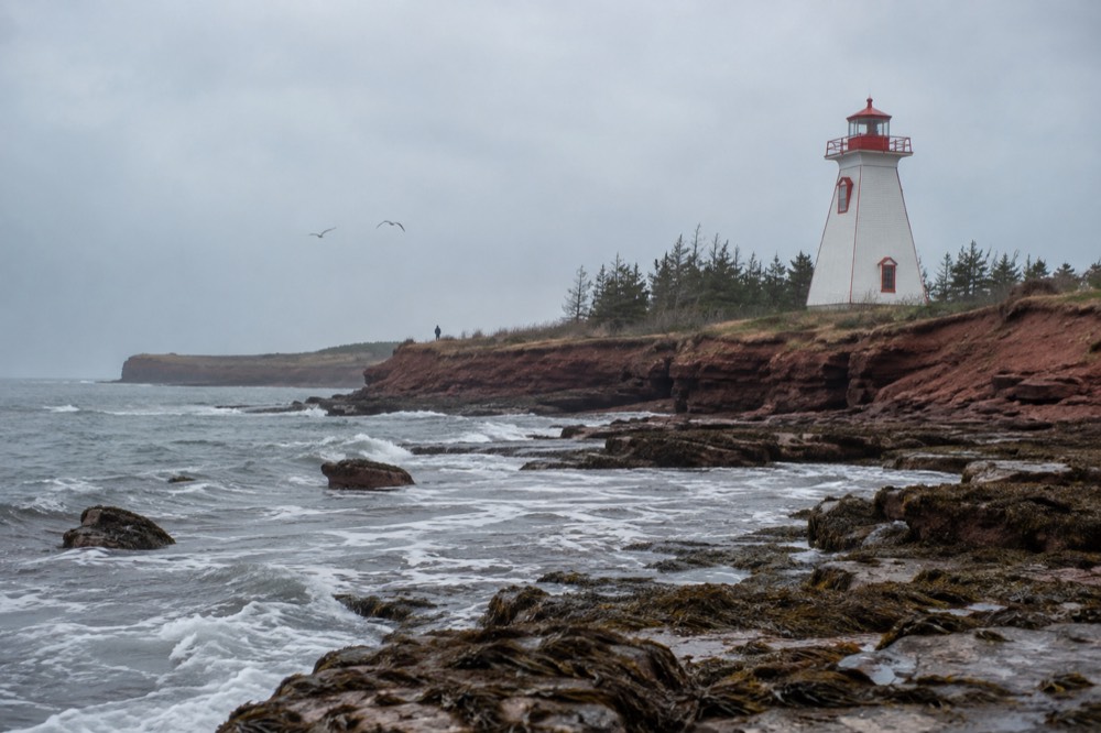 A wooden lighthouse standing above red cliffs and the sea