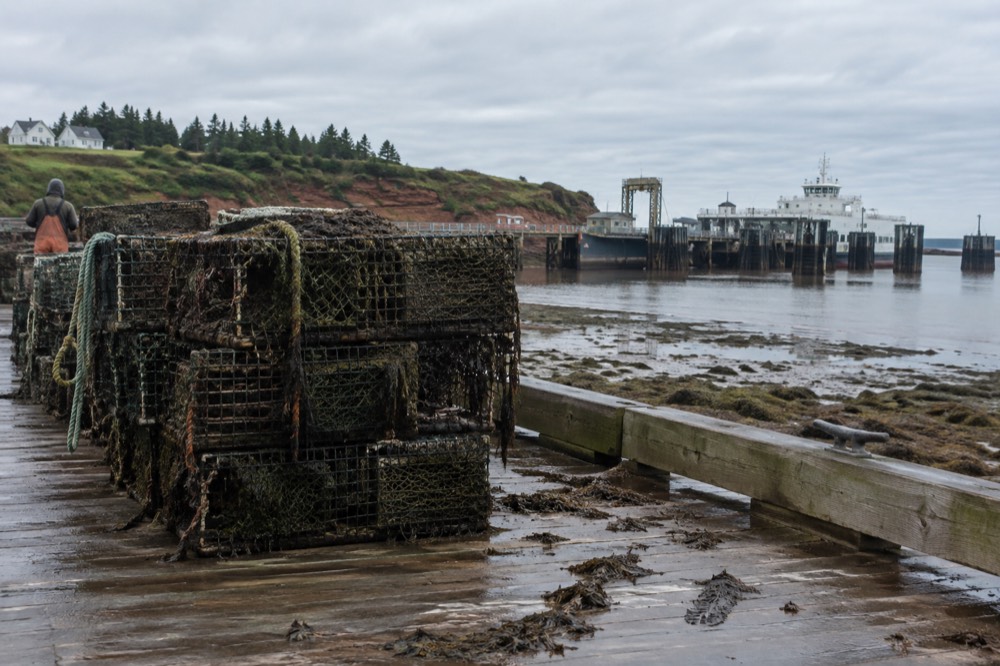Oyster cages stacked on a dock at low tide