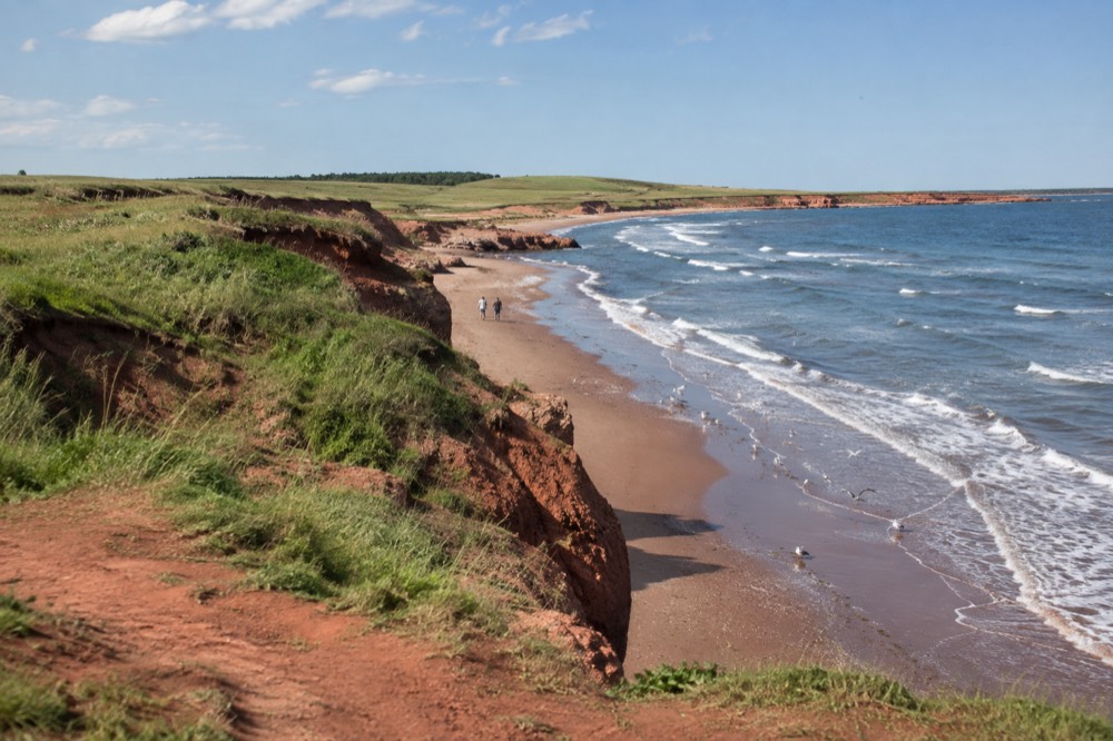 Rolling green farmland and red soil cliffs meeting a sandy beach