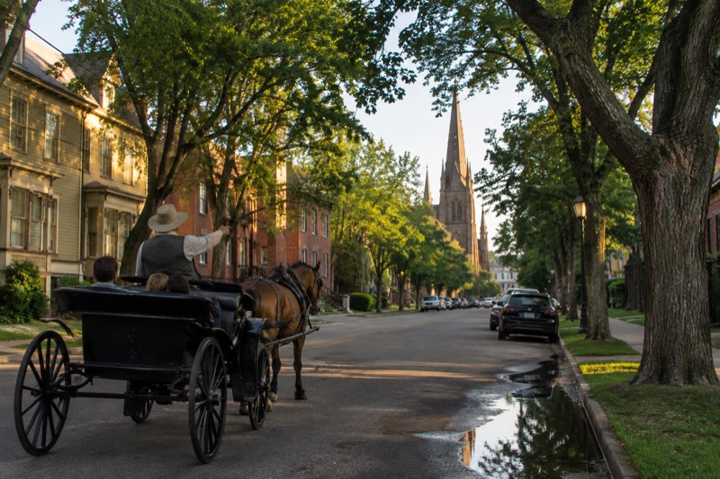 A horse-drawn carriage on a tree-lined Charlottetown street, the driver gesturing toward a historic church spire