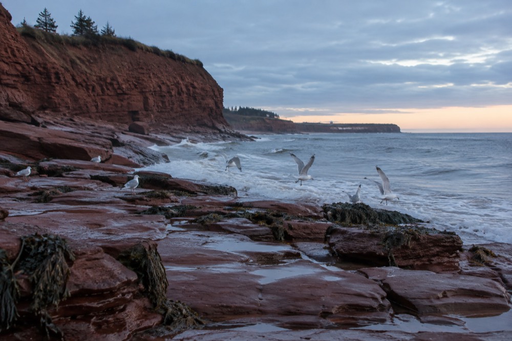 Red sandstone cliffs above a quiet beach on the Prince Edward Island north shore