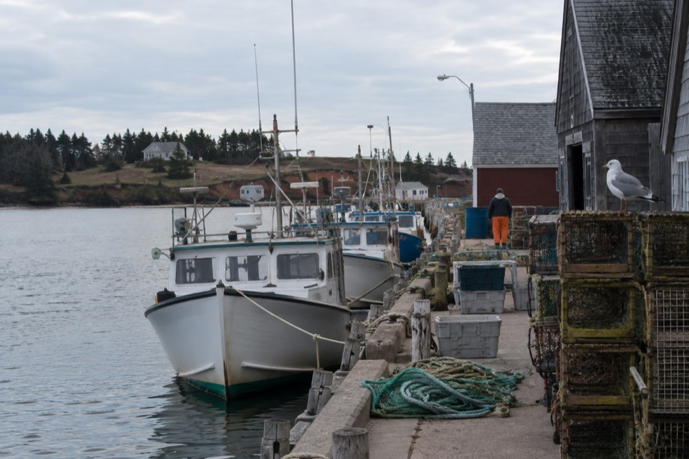 Fishing boats moored in a small harbour beside weathered sheds