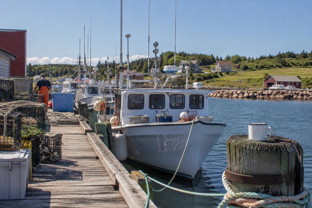 A busy wooden wharf with fishing boats moored in a small PEI harbour