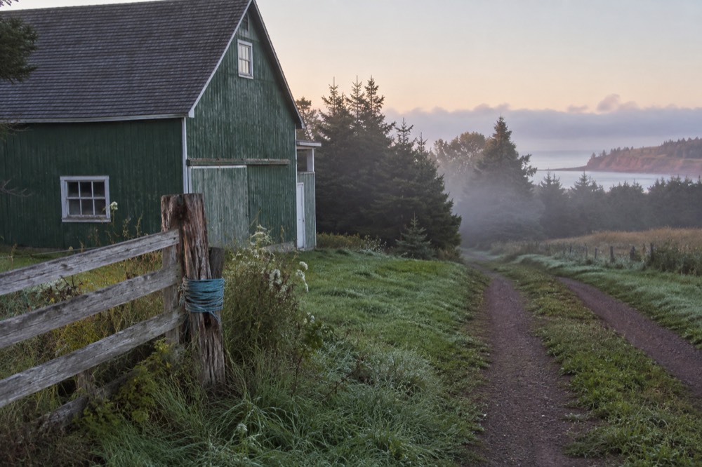 A green barn and farmhouse beside a wooded lane in farm country