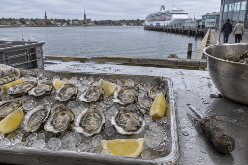 A row of shucked Malpeque oysters on crushed ice beside lemon wedges