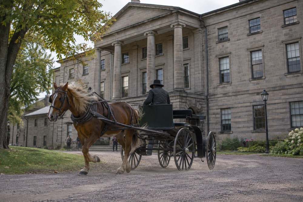 Horse-drawn carriage passing heritage buildings on a Charlottetown street
