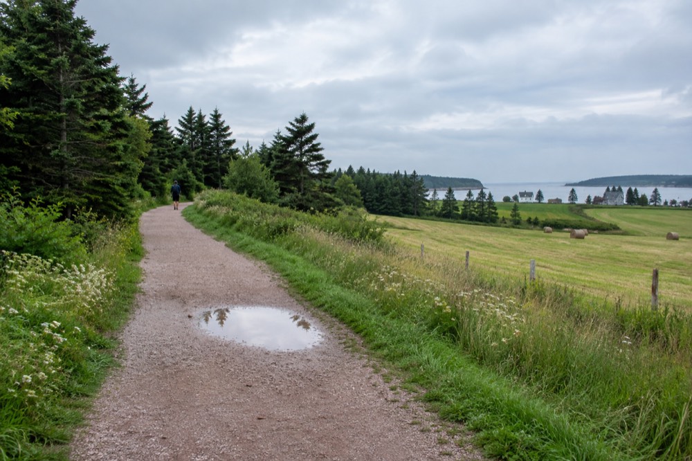 A stone dust walking trail passing through green farmland and woods