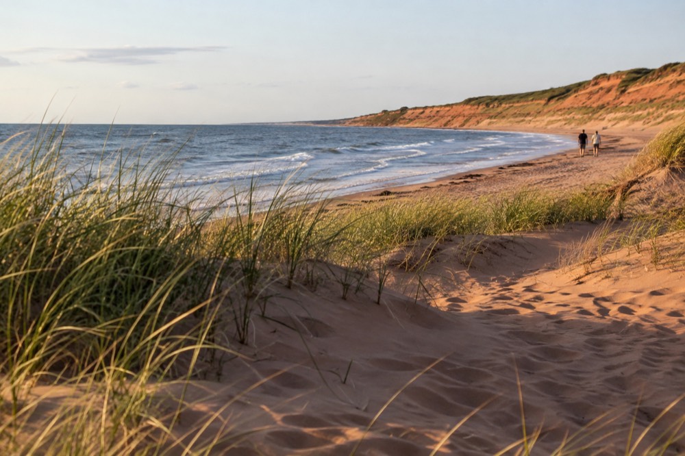 Red sand dunes with marram grass beside a calm ocean