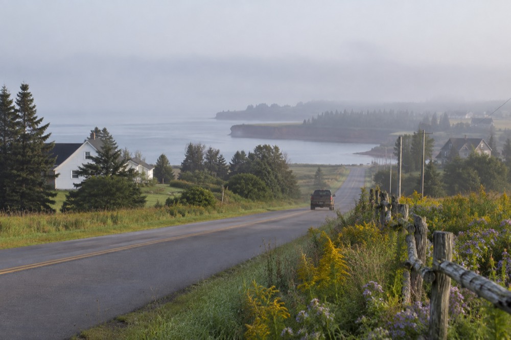 A quiet two-lane road lined with wildflowers leading toward the sea