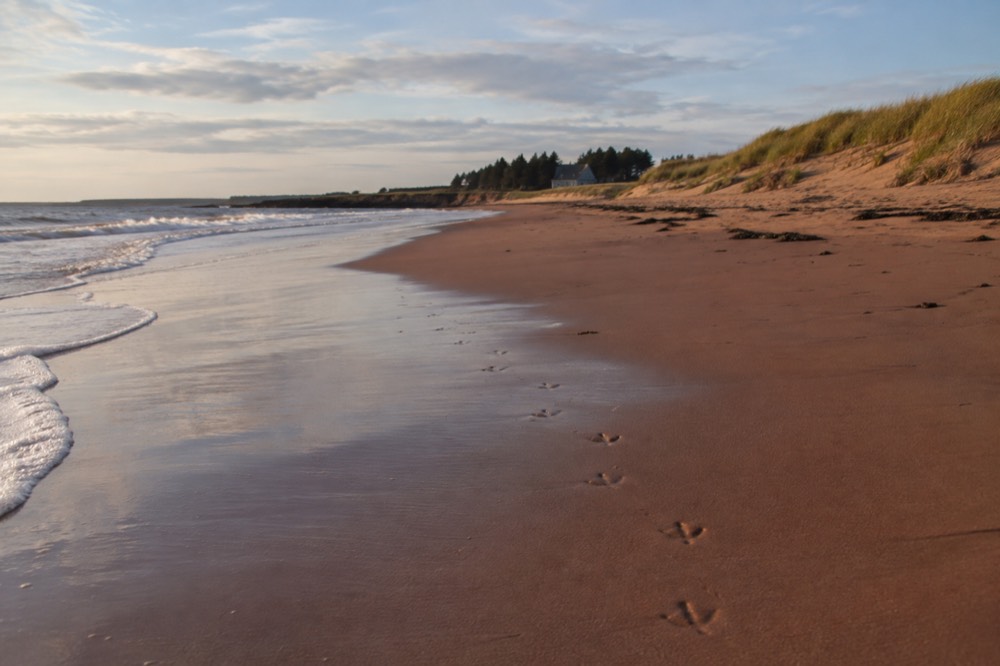 An empty red-sand beach with dune grass under a September sky