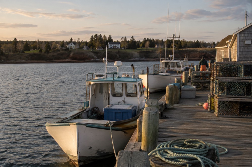 A fishing harbour with small boats moored along a wooden wharf