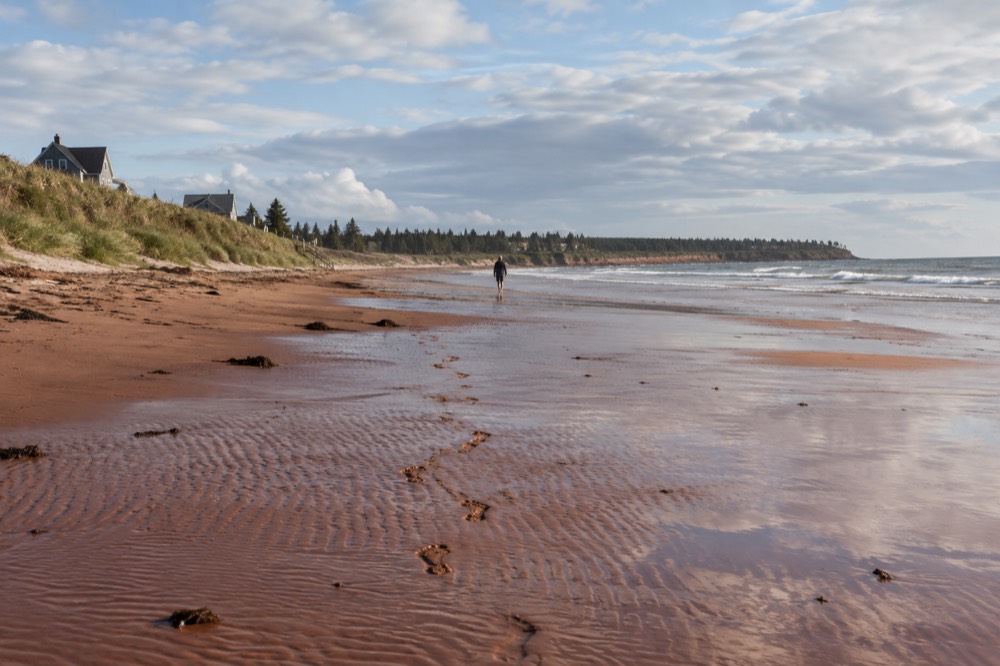 A red sand beach at low tide with dune grass along the shore
