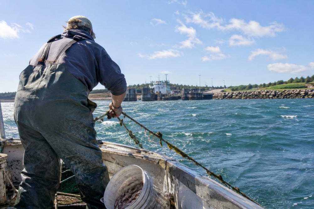 Fisherman hauling a rope over the side of a small boat