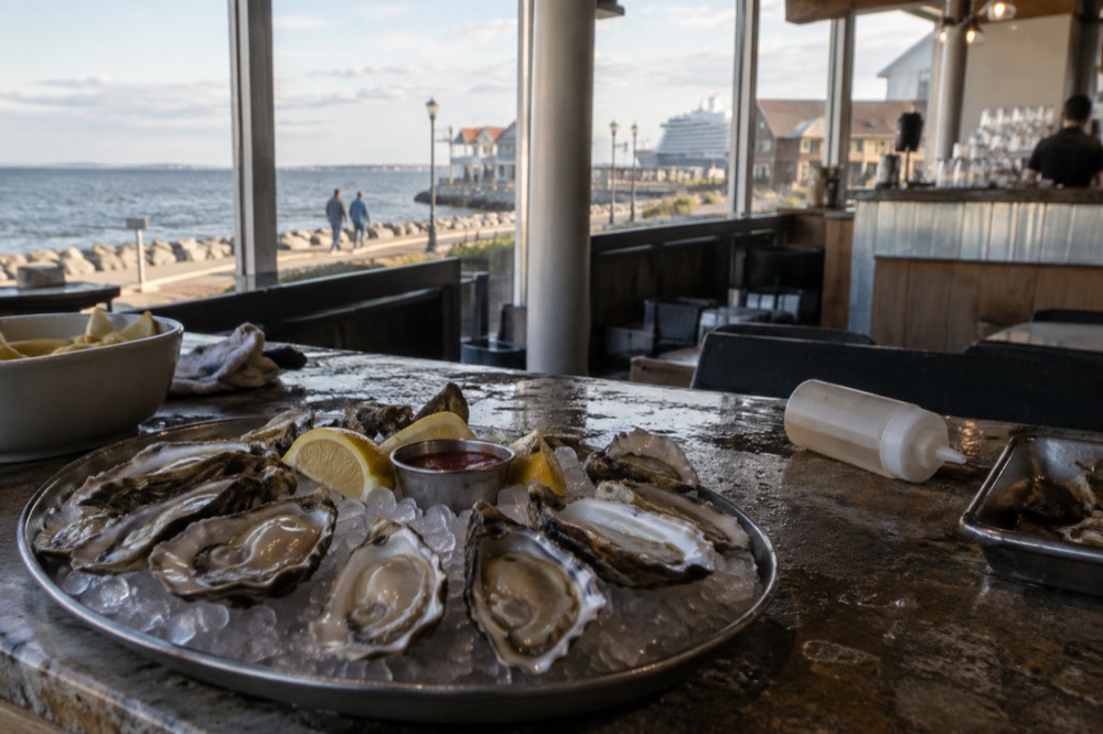 Freshly shucked oysters on a tray of crushed ice