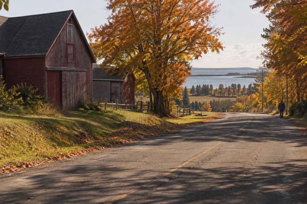 A cyclist on a country road passing a red barn under autumn-coloured trees