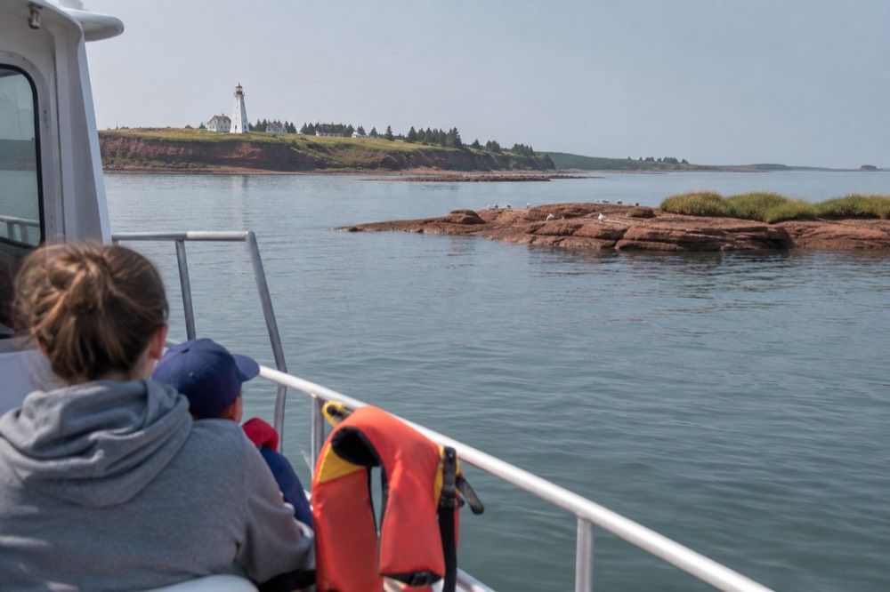 Tour boat anchored near grassy shoreline islets with seabirds on rocks