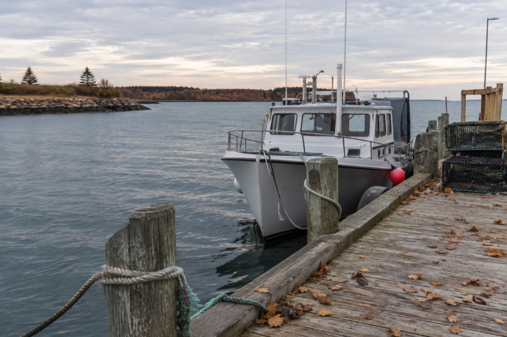 Empty tour boat moored at a quiet wharf in early autumn light