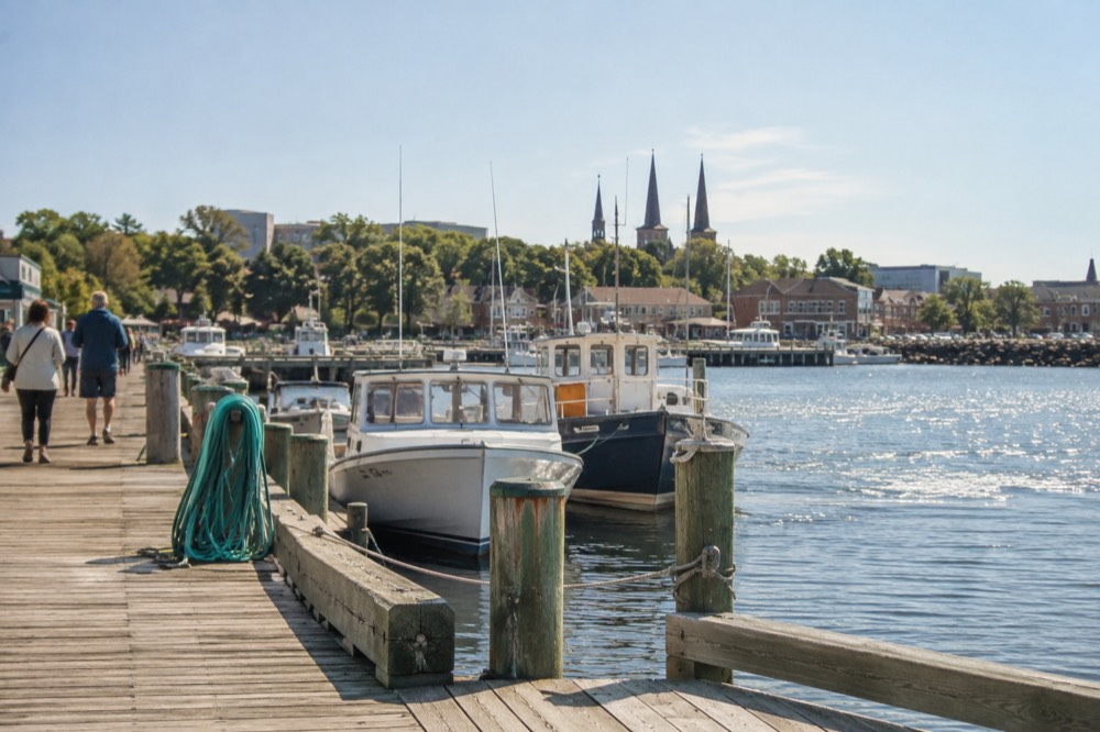Wooden wharf and boardwalk along a harbour at midday with boats tied up