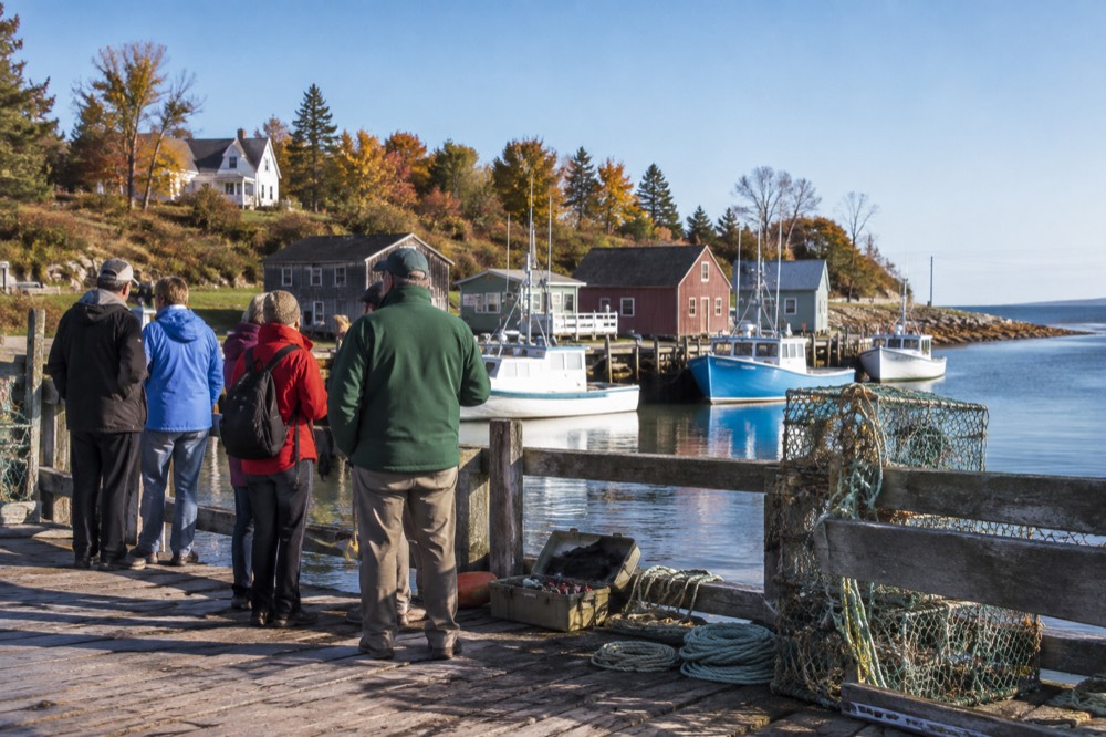 A tour group gathered near a harbour fence with boats moored behind