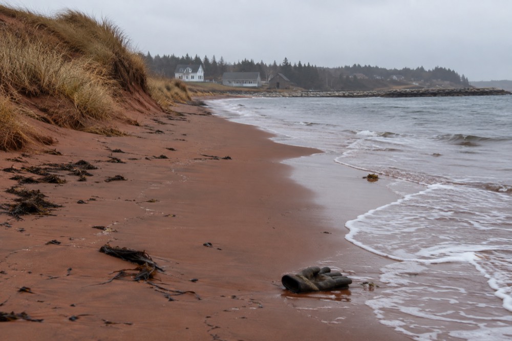 Empty red sand beach with dune grass under an overcast autumn sky