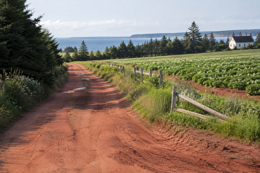 A country lane bordered by green fields and red soil on Prince Edward Island