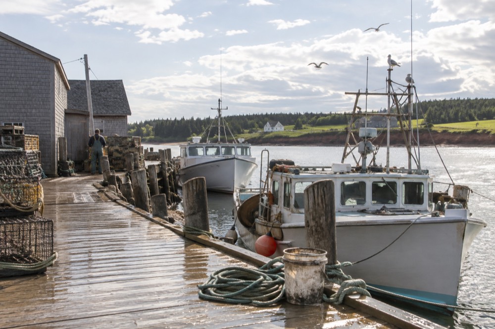 A wooden fishing wharf with lobster boats moored along it