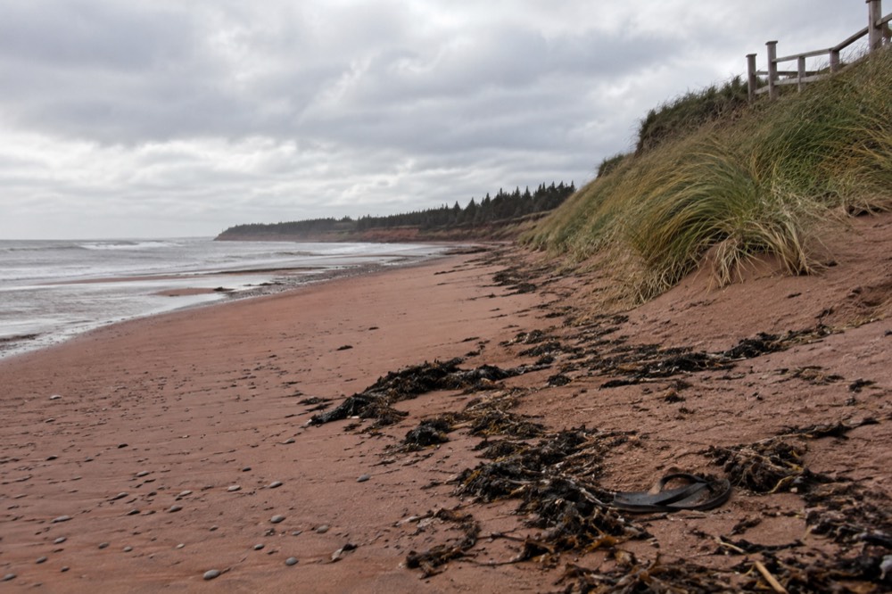 Empty red-sand beach with marram grass under an overcast autumn sky