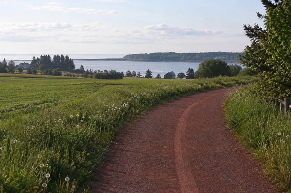 A quiet cycling path through green farmland