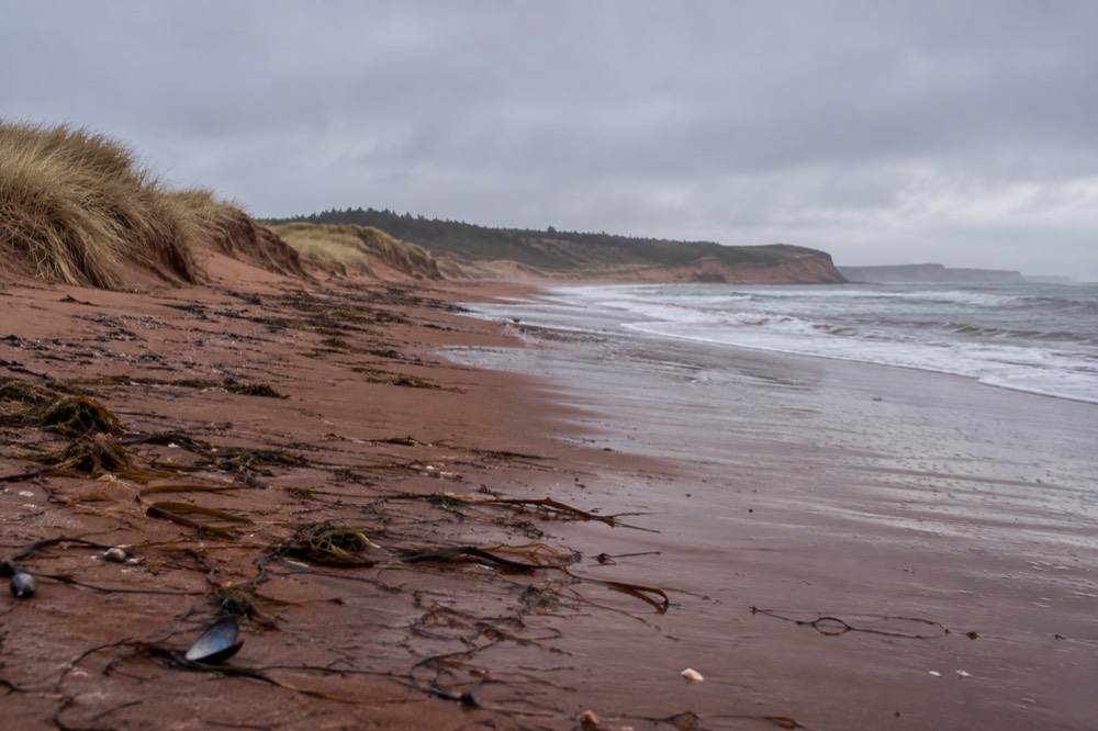 Empty red sand beach under a wide sky in autumn light