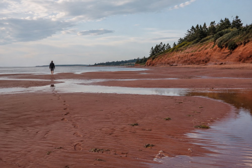 A calm red sand beach at low tide under a wide autumn sky
