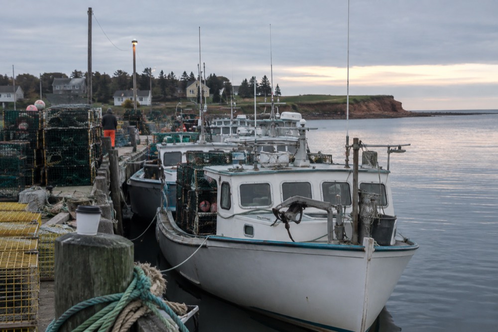 Lobster boats tied along a wooden wharf in a small island harbour