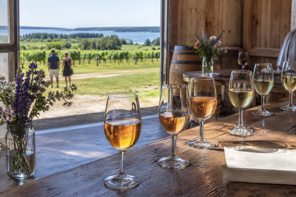 Glasses of cider and wine lined up on a rustic tasting counter with a receipt