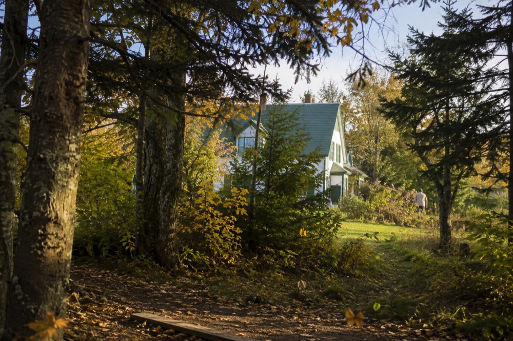 Green farmhouse surrounded by trees in Cavendish countryside