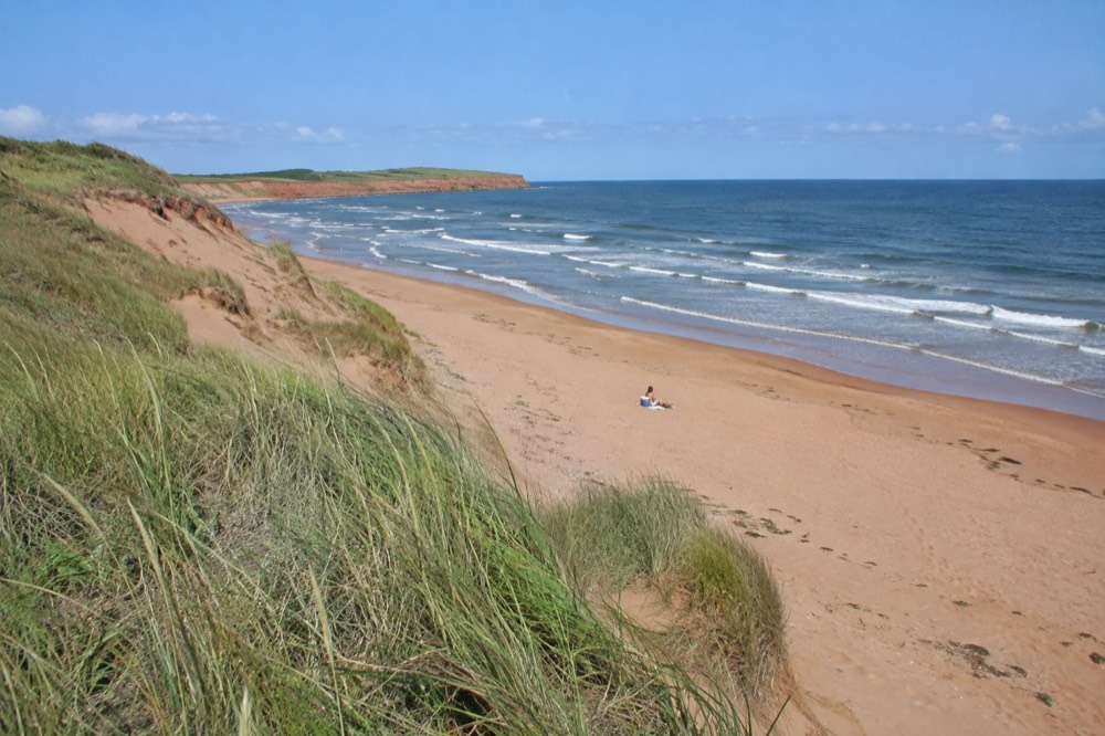 Wide beach with red sand and grassy dunes under a clear sky